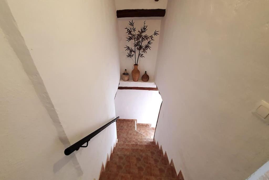Casa Arriba In